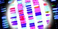 Companies may purchase Consumer Genetic Information, despite its limited Predictive Potential