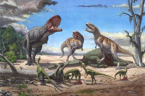 Dinosaur study challenges Bergmann's rule