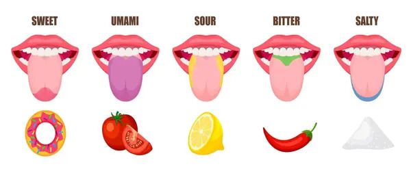 Researchers discover how we perceive bitter taste