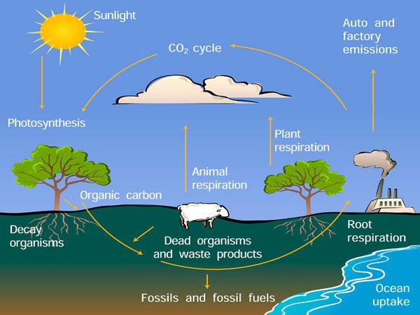 Roadmap to close the carbon cycle