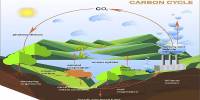 Roadmap for Closing the Carbon Cycle