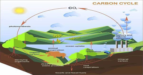 Roadmap for Closing the Carbon Cycle