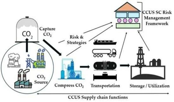 The case for sharing carbon storage risk