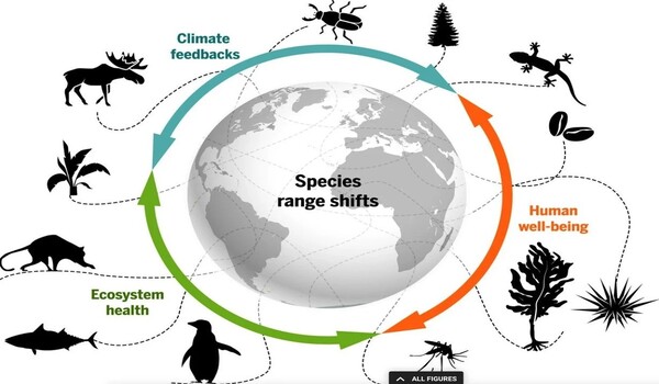 New study shows how AI can help us better understand global threats to wildlife