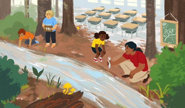 Access to gardens and citizen science helps encourage conservation among children, study shows