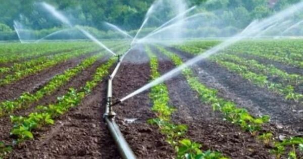 Drip Irrigation – a type of micro-irrigation system