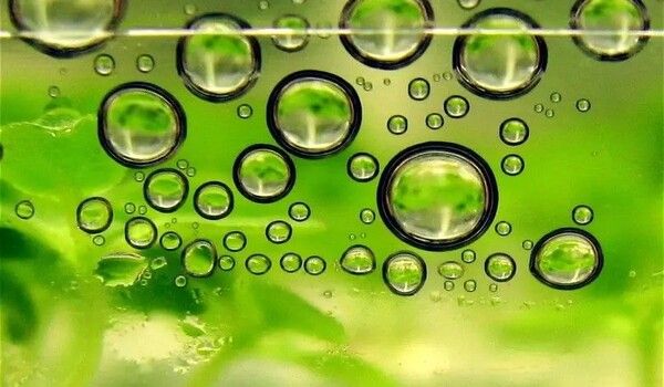 Studying bubbles can lead to more efficient biofuel motors