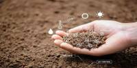 Soil Defertilisation