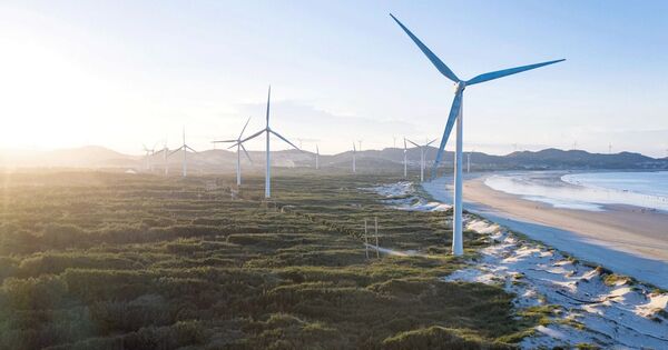 Wind farms can offset their emissions within two years