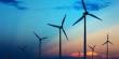 Wind Farms are able to Neutralize their Emissions within Two Years
