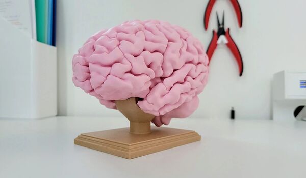 High-resolution brain created with 3D printer