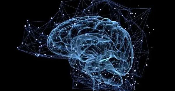 High-resolution Brain Built using 3D Printing