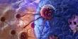 Combating Leukemia by Attacking its Stem Cells