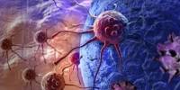 Combating Leukemia by Attacking its Stem Cells