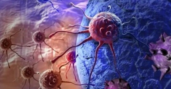 Combating Leukemia by Attacking its Stem Cells