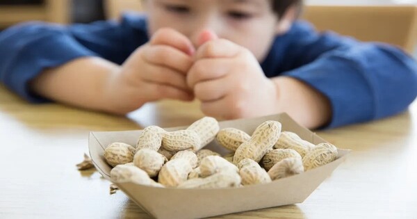 Feeding Peanut goods to Infants Protects against Allergy until Adolescence, a study finds