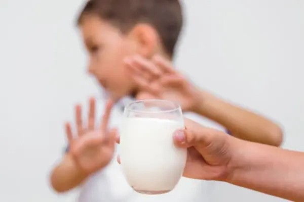 Gut bacteria important for overcoming milk allergy