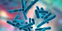 Gut Bacteria are helpful for Overcoming Milk Allergies