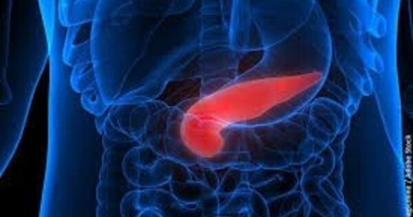 In Mice, a special mechanism shields Pancreatic Cells against Inflammation