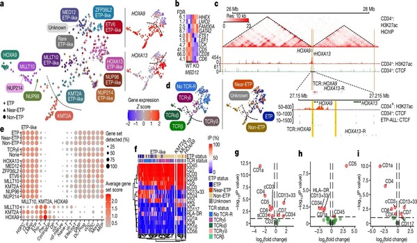 New research poised to transform approach to diagnosing and treating acute leukemia in children