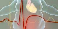 Obesity and Heart Failure are Linked