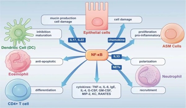 Potential-Causes-of-Persistent-Allergic-Inflammation-1