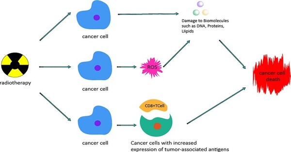 A New Mechanism of Action Destroys Cancer Cells