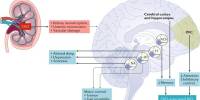 Cognitive Dysfunction in Chronic Kidney Disease