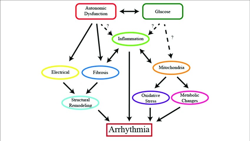 Gene-related Metabolic Dysfunction may be generating Cardiac Arrhythmia