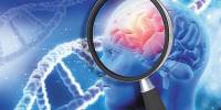 Genetic relationship between Alzheimer’s and Heart Disease has been Confirmed