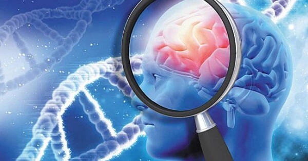 Genetic relationship between Alzheimer’s and Heart Disease has been Confirmed