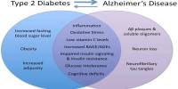 Possible explanation for the Connection between Diabetes and Alzheimer’s