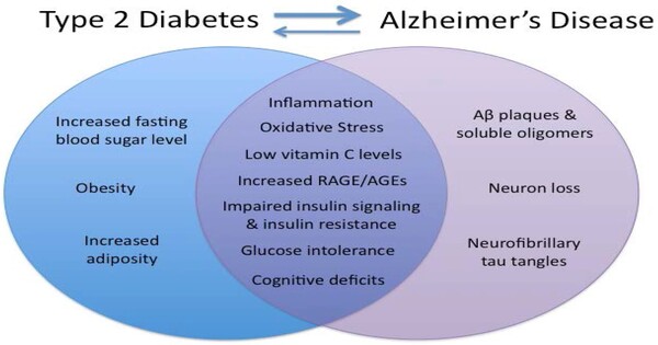 Possible explanation for the Connection between Diabetes and Alzheimer’s