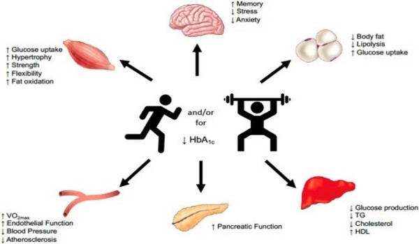 Study reveals best exercise for type-1 diabetes patients