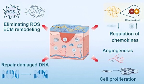 Treating radiation wounds with aspirin hydrogels