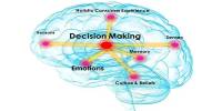 Discovery of Brain-wide Decision-making Dynamics