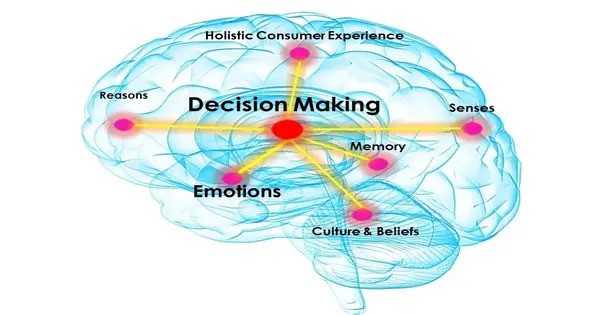 Discovery of Brain-wide Decision-making Dynamics