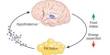 Higher Leptin Levels imply Brain Protection from Late-life Dementia