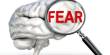 How Fear Develops within Our Brains