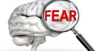 How Fear Develops within Our Brains