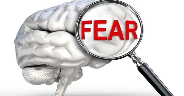 How Fear Develops within Our Brains