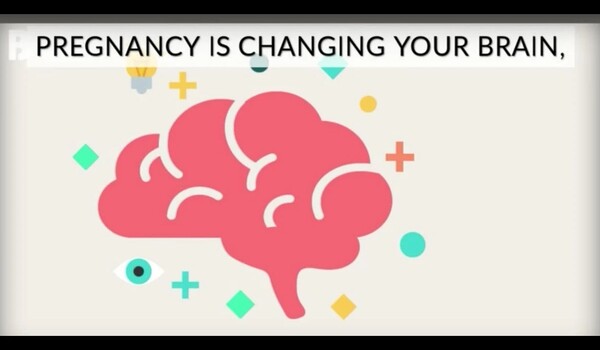 How the brain changes during pregnancy