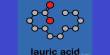 Lauric Acid – a saturated fatty acid