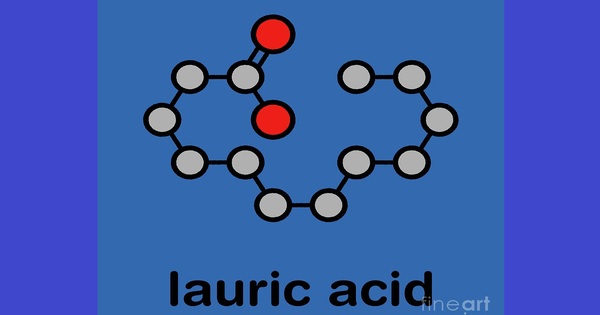 Lauric Acid – a saturated fatty acid