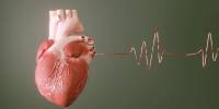 Metal Exposure may raise the Risk of Cardiovascular Disease