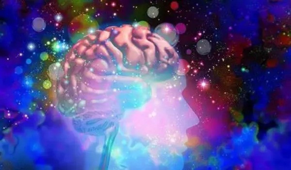 Psychedelics excite cells in hippocampus to reduce anxiety