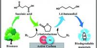 Catalytic Selectivity can be Controlled by Reaction Circumstances