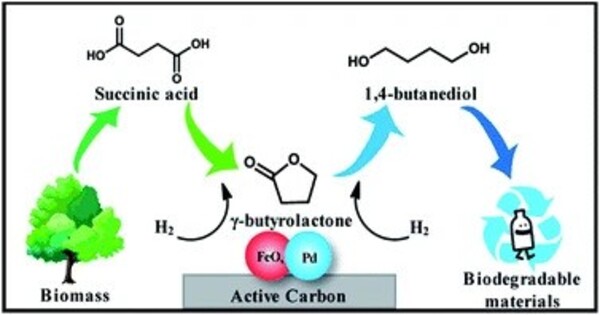 Catalytic Selectivity can be Controlled by Reaction Circumstances