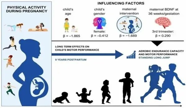 Maternal exercise during pregnancy may protect the child against asthma