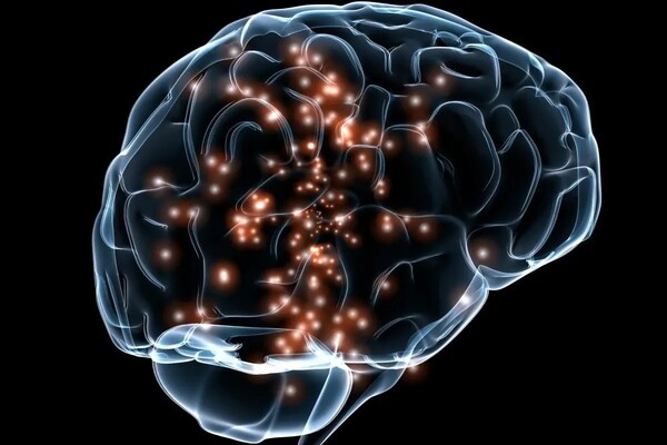 Researchers identify brain region involved in oxycodone relapse